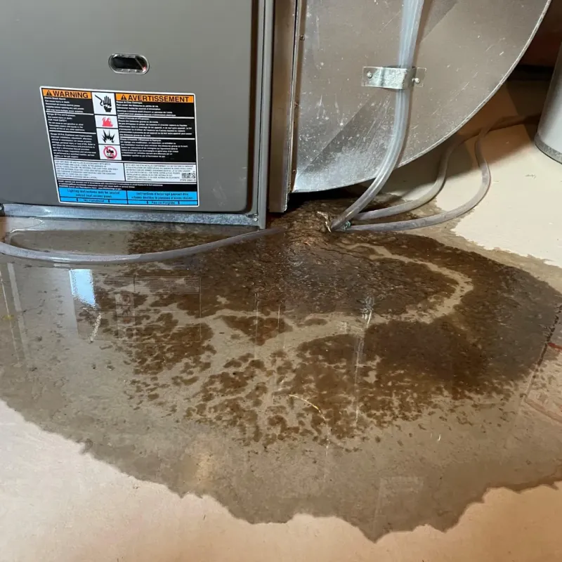 Appliance Leak Cleanup in Laguna Beach, CA